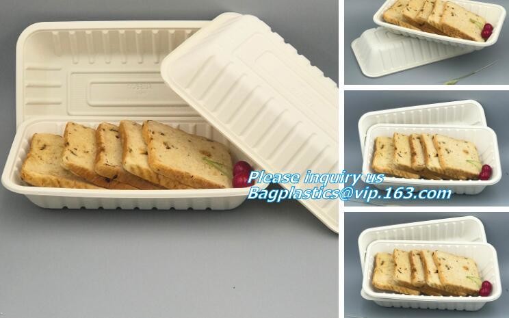 Meal Prep Containers Free Sample Bento Lunch Box Biodegradable Food Container Plastic Wheat Straw Lunch Box bagplastics