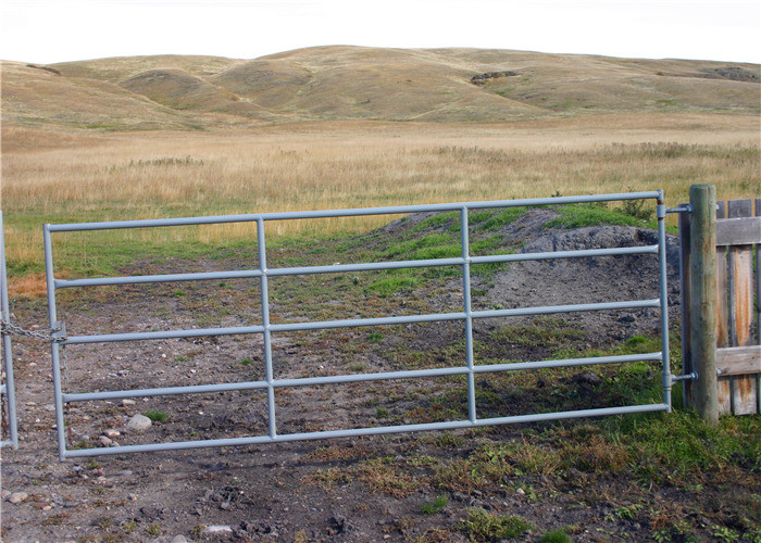 Galvanized 1.2mm Driveway Farm Gate Metal Agricultural With Hingle