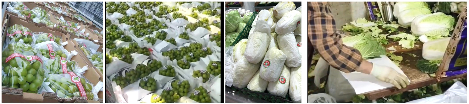 40 - 90gsm White Waterproof Grape Vegetable Wrapping Bag Paper