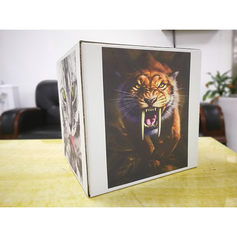 CMYK Digital Inkjet Printing Machine