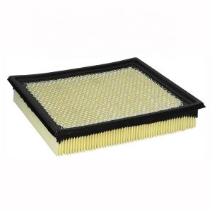  VW1 Car Air Filter element 4R3Z9601AA 4R3U9601AB for FORD USA Automotive Filtro De Aire CA9895 Car Filter Manufactures