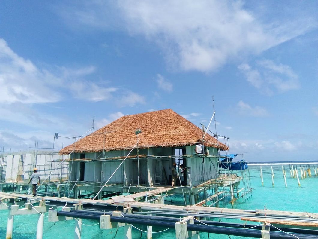 Never Fade Fire Prevention Envirment Simulation Thatch Roofing