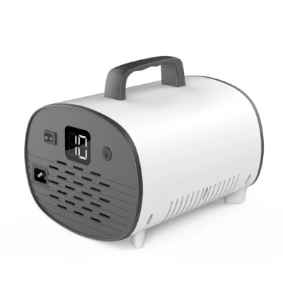 Quality Large Atomizer Spray Disinfection Air Purifier Electric Nano Sprayer Fogging Machine with Timing/Sleeping/Humid for sale