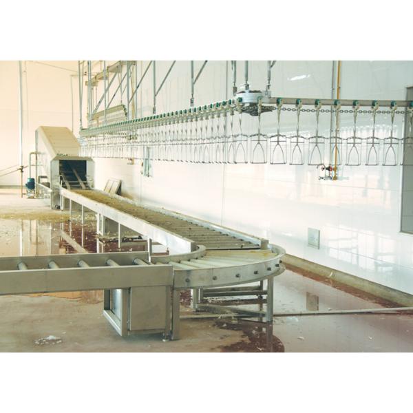 Stainless Steel Plucking Machine The Perfect Addition to Your Poultry Slaughter