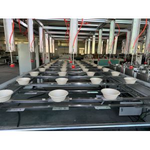 12-Station Pulp Molding Spin Coating Line for Bagasse Tableware Coating and