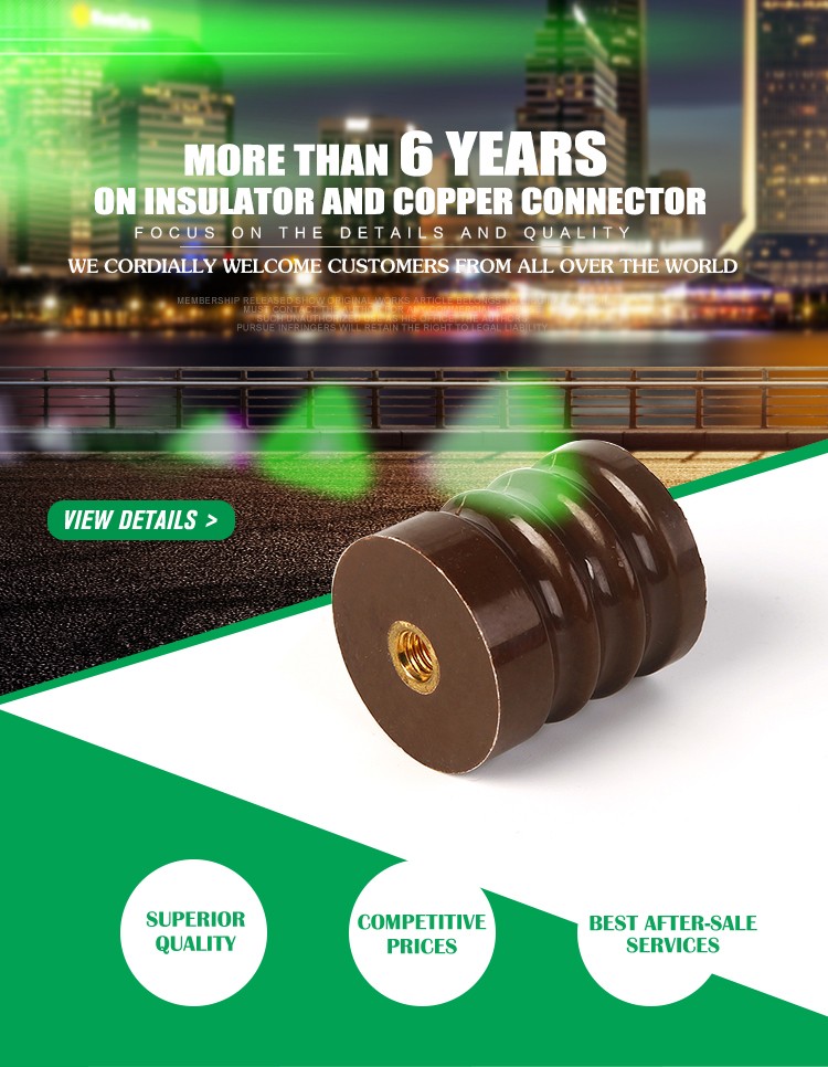 High quality DW2 electrical frequency conversion insulator support connector