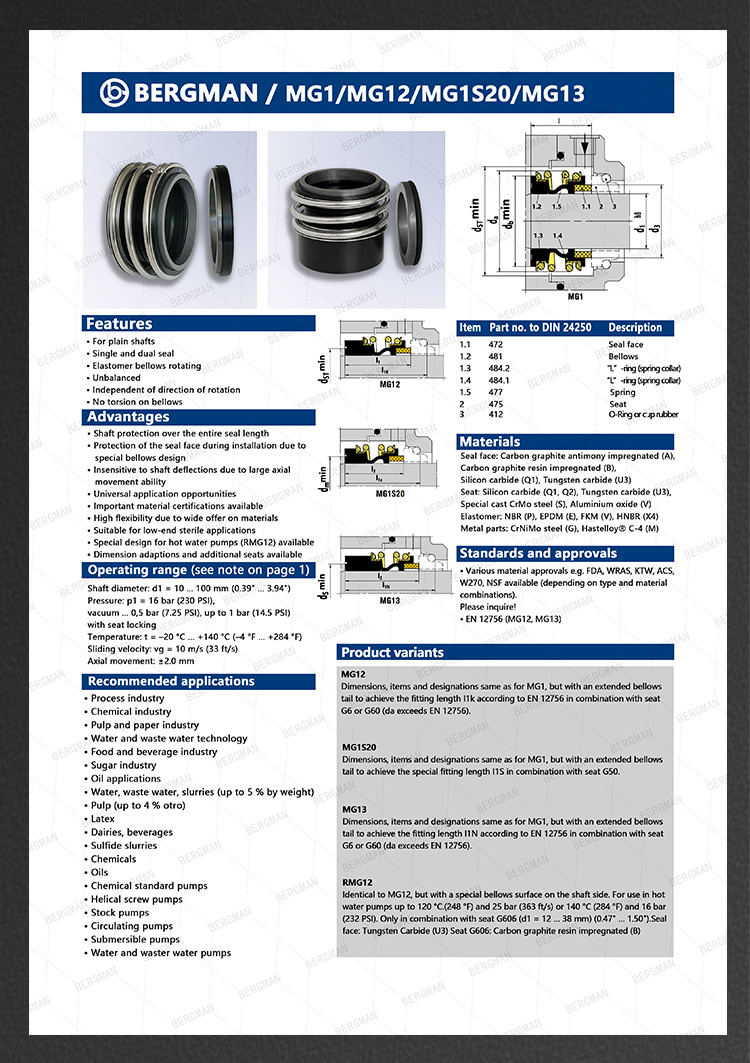 BERGMAN Replaces Hyster 28.6mm 38.1mm 50.8mm 76.2mm 95mm 100mm Pump Mechanical Seal