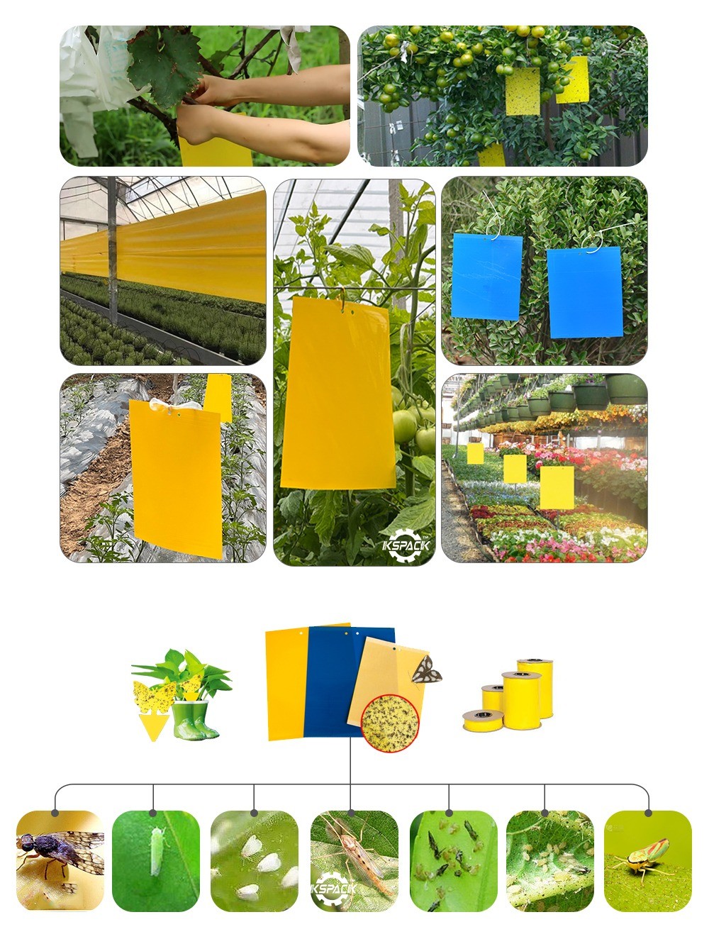 Yellow Sticky Insect Glue Trap Machine Hot Melt Fly Control Board For Pest Management