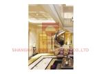 Modern Residential Home Elevators SUNNY Lift Steel Band Style 0.4m/s