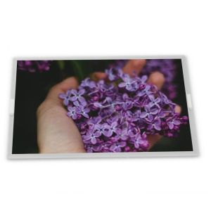  8 inch a-Si TFT-LCD C080EAN06.0 online one-stop shopping rectangular screen lcd display panel new and original Manufactures