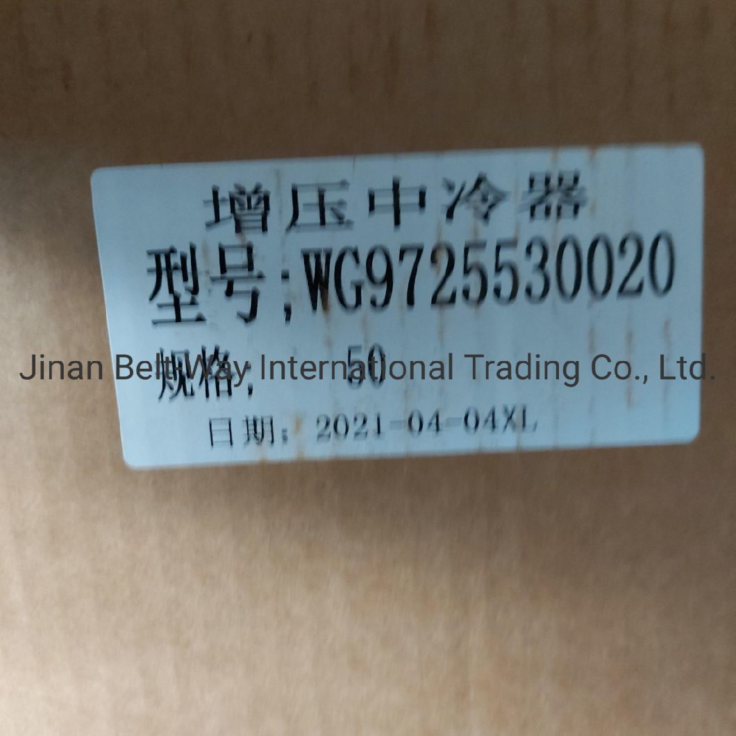 Sinotruk HOWO Truck Parts Truck Spare Parts Supercharged Intercooler Wg97255300250 Wg9725530020