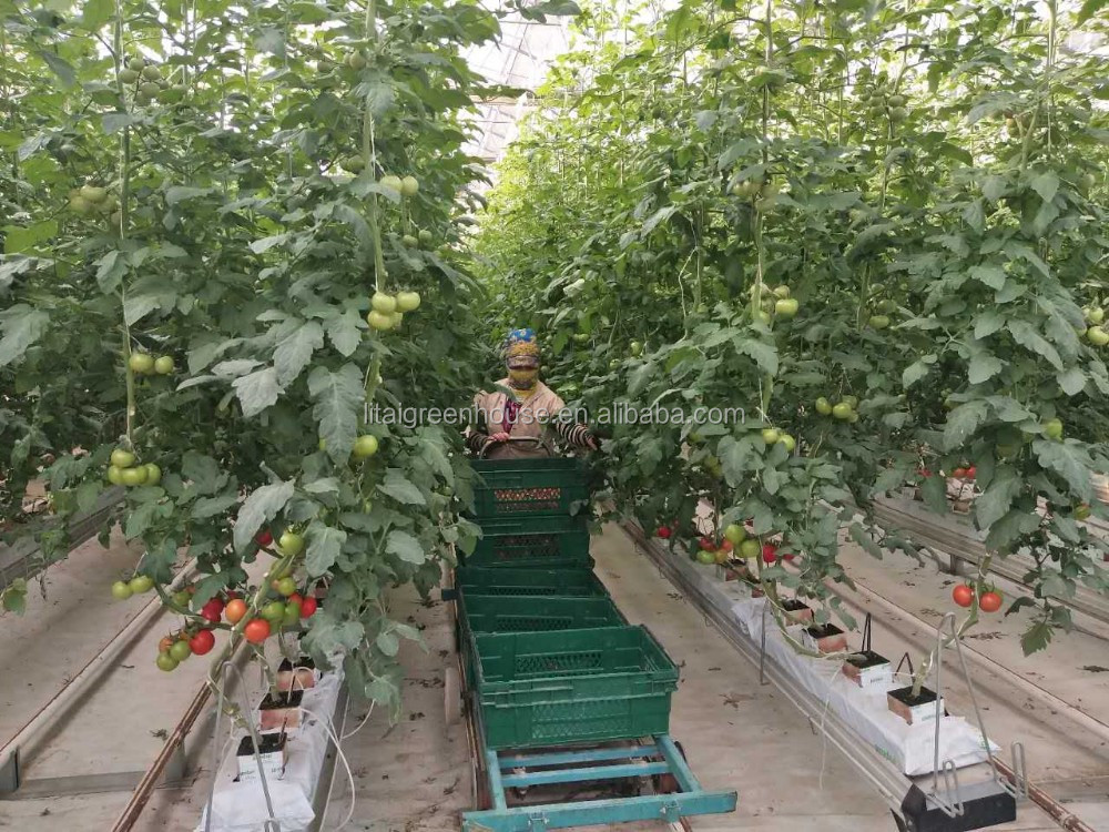 PE Material Hydroponic Vegetable Vertical Farming Groove System for Easy and Planting