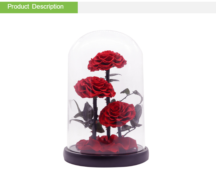 Real Touch Eternal Preserved Rose Glass Dome For Valentines Day Gift