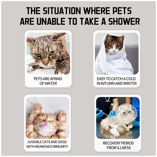 Cat And Dog Pet Eye Wet Wipes No Rinse Eye Tear Stain / Pet Safe Wet Wipes
