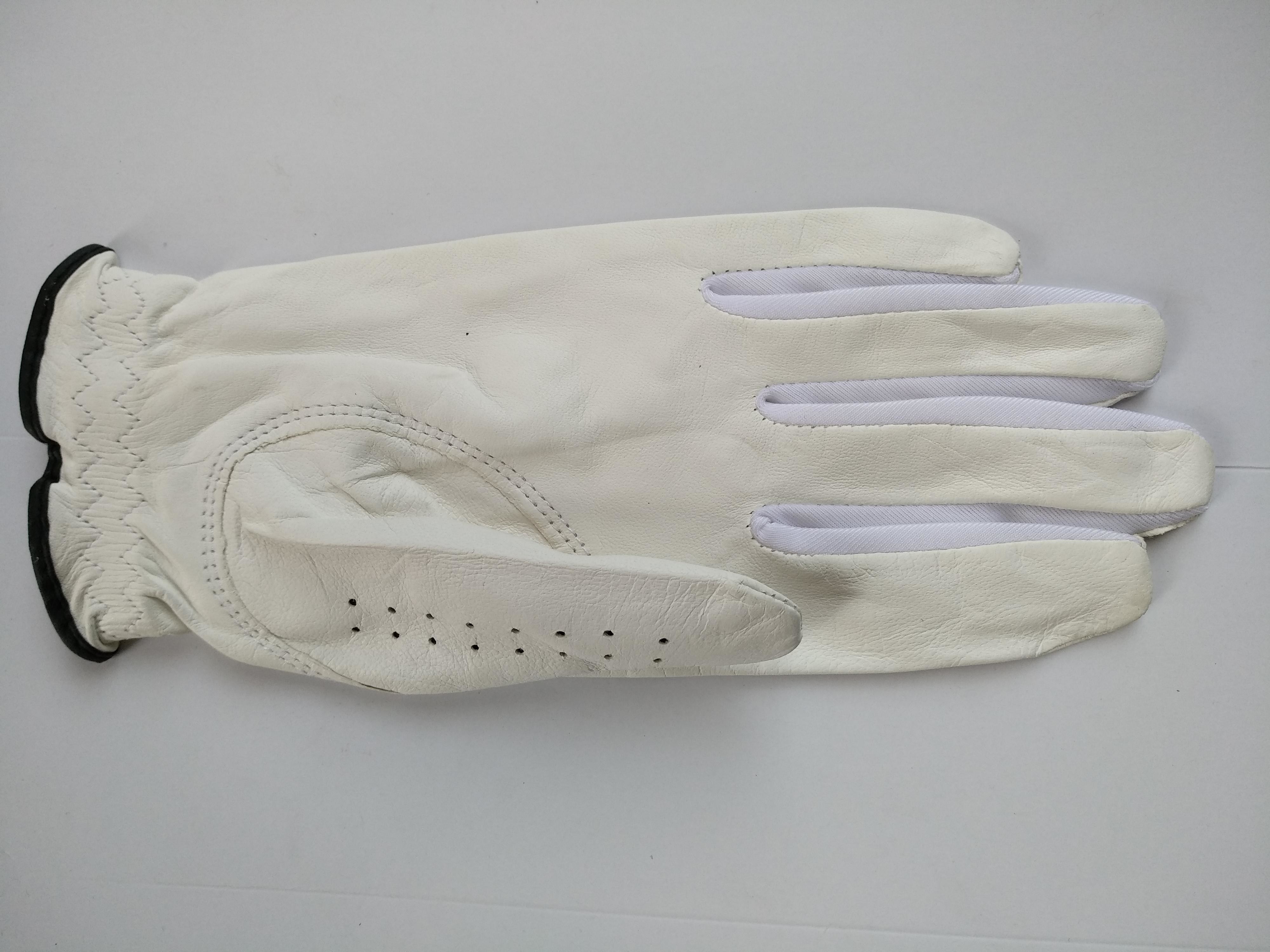 golf glove , golf gloves , glove , gloves