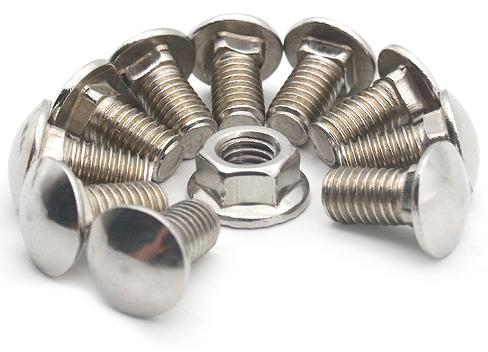 ISO9001 Certified Stainless Steel Carriage Bolt DIN603 for Steel Industry
