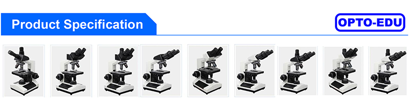 Laboratory Compound Xsz 107bn 1600x Biological Microscope