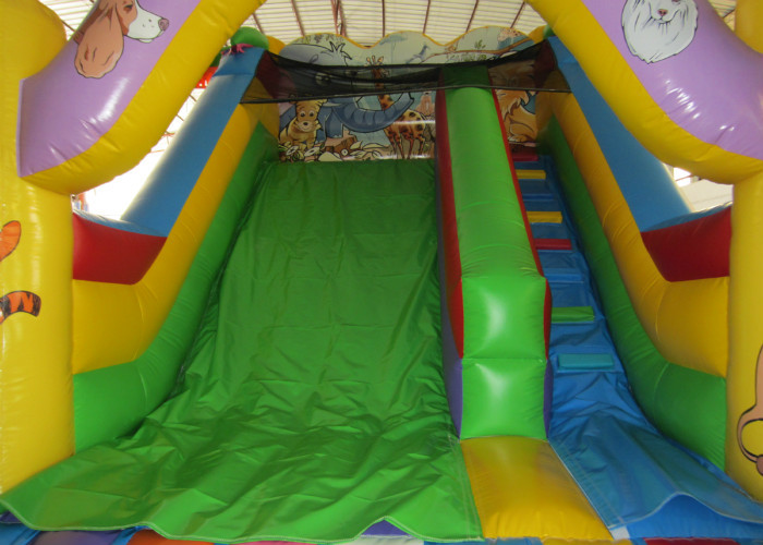 Giraffe arch inflatable standard dry slide animals zoo park inflatable standard slide for children
