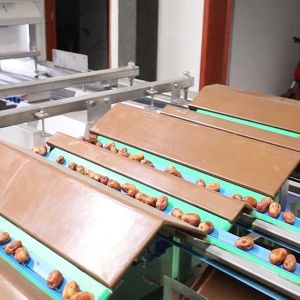 Comprehensive Defect Detection 1.4 Tons Per Hour 6-Lane Palm Dates Sorting