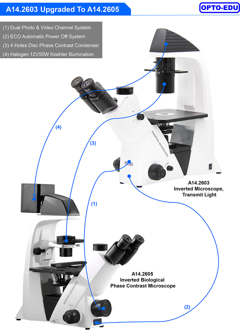 OPTO-EDU A16.2614-UL China Supplier High Brightness Inverted Ultra LED Fluorescent Microscope Price