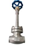  Welding End Low Temperature DN25 Long Stem Valve Manufactures