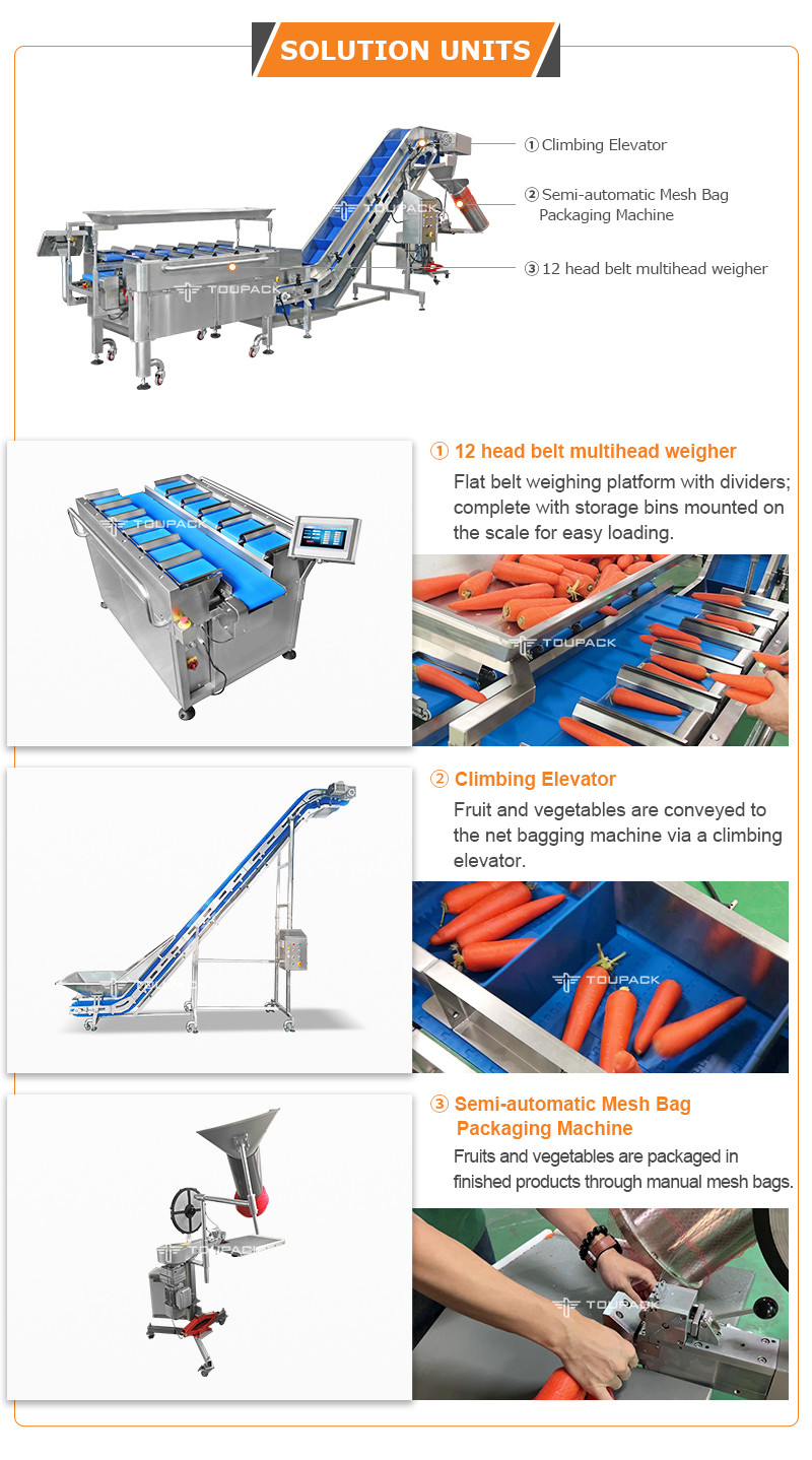 TOUPACK Mesh Bag Fruit Package Machine / Semi Automatic Citrus Net Bag Packaging Machine