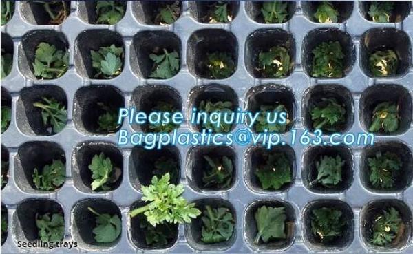 plastic nursery tray seedling tray have different numbers cups,Plastic Flowers