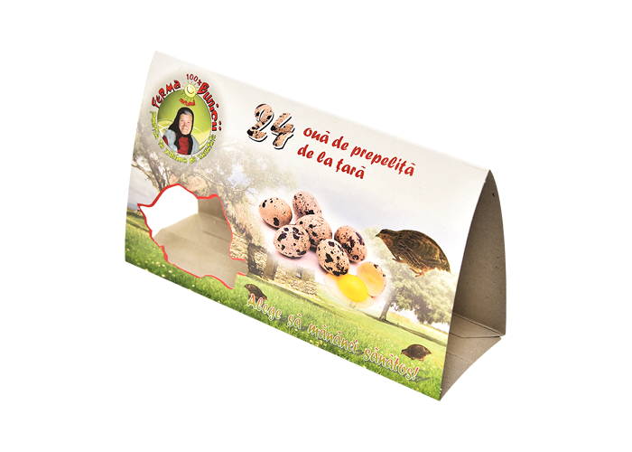 Single Side Coated Duplex Board Gray Back Offset Printing For File Folder