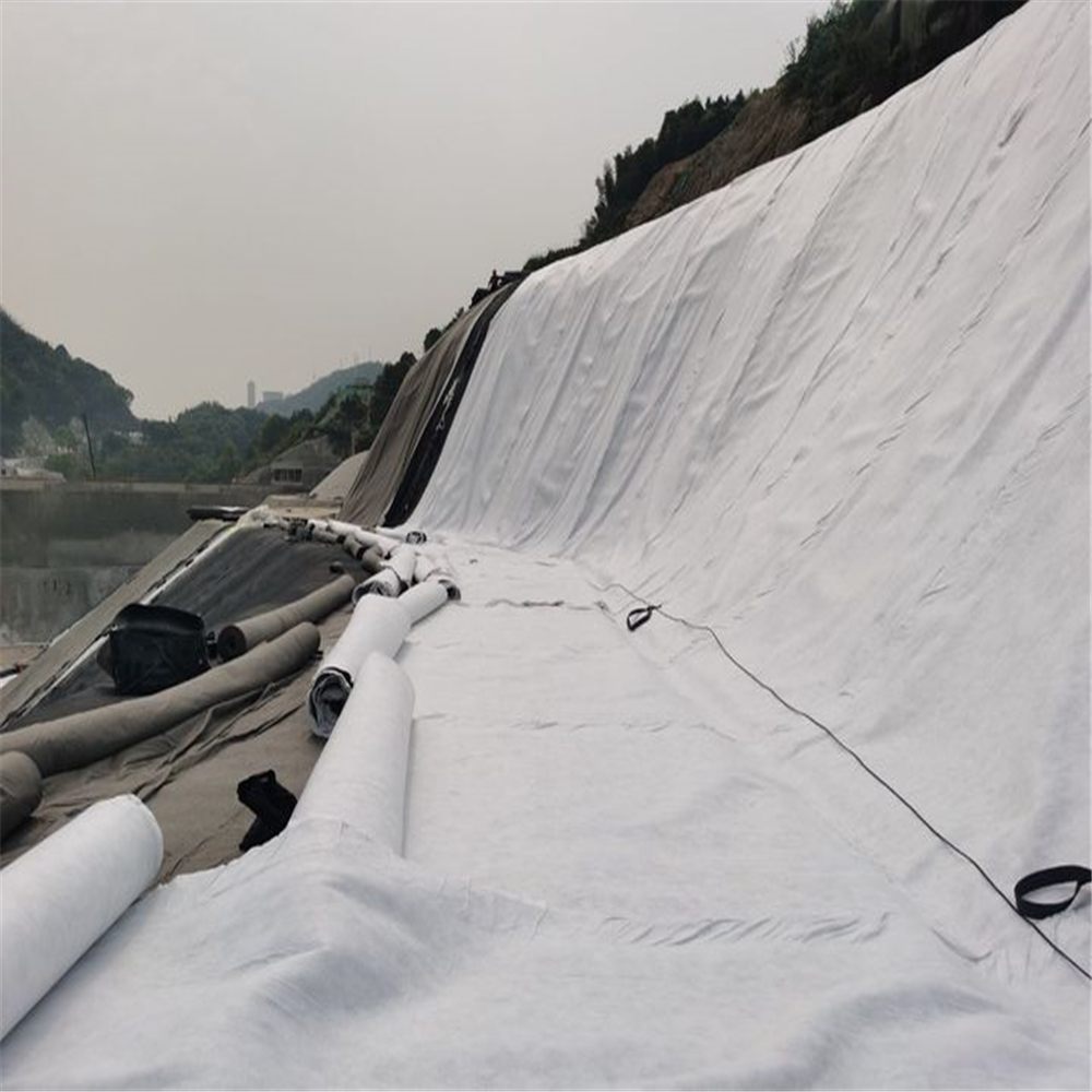 Environmental Engineering Geotextile Cloth in Milky White for Enhanced Performance