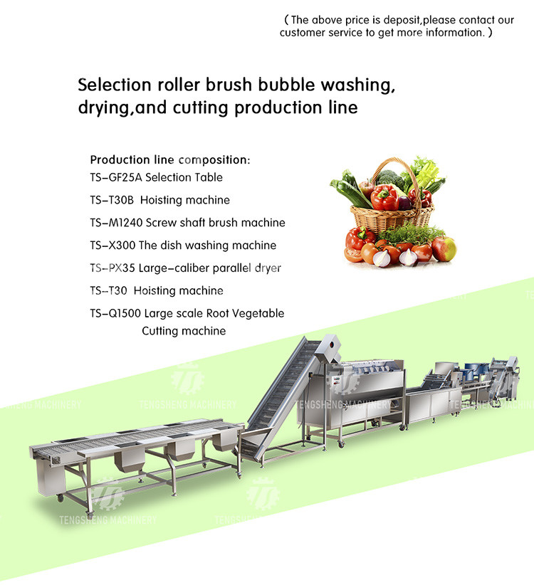 Stainless Steel Fruit And Vegetable Processing Line Potato Picking Hair Roller Bubble Washing Machine