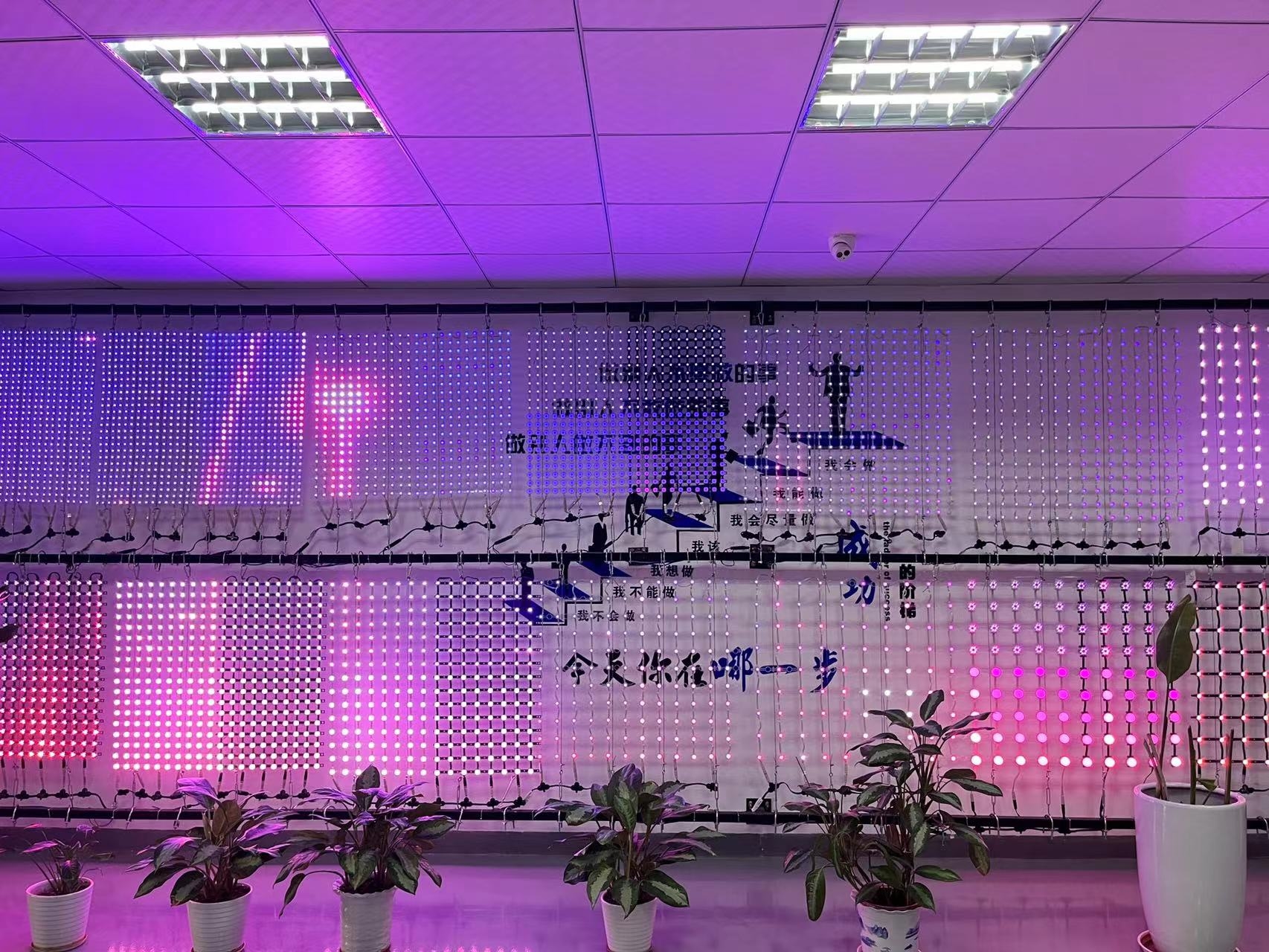 Touchscreen Pixel LED Mesh Screen Creative Customized IP65 for Video Wall