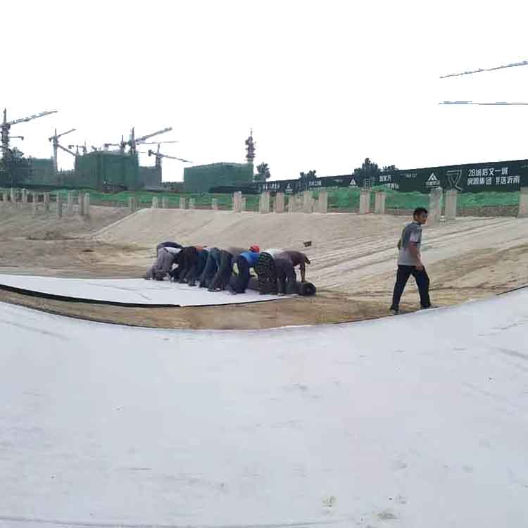 Permanent Waterproof Performance Geosynthetic Clay Liner for Outdoor in Dam and Pond