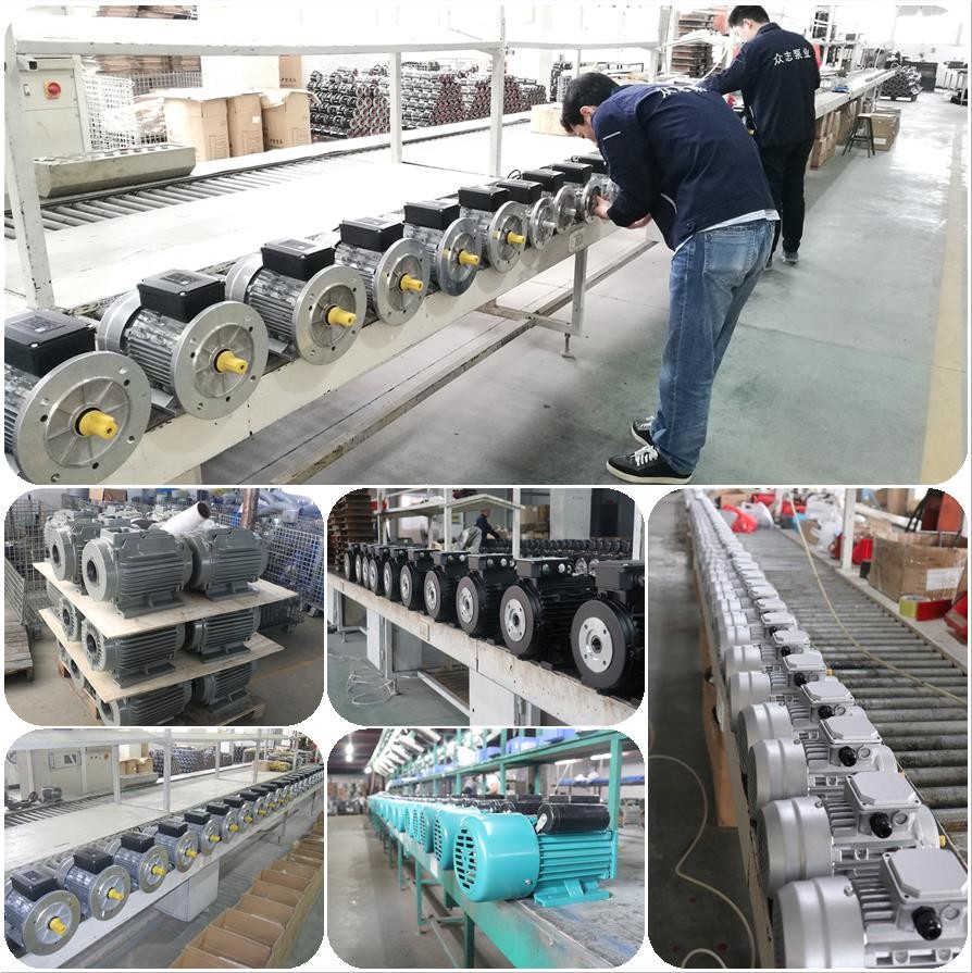 IE2 HS100L3-4 4kw Electric Hollow Shaft Motor 5.5hp For Bin Washing Machine