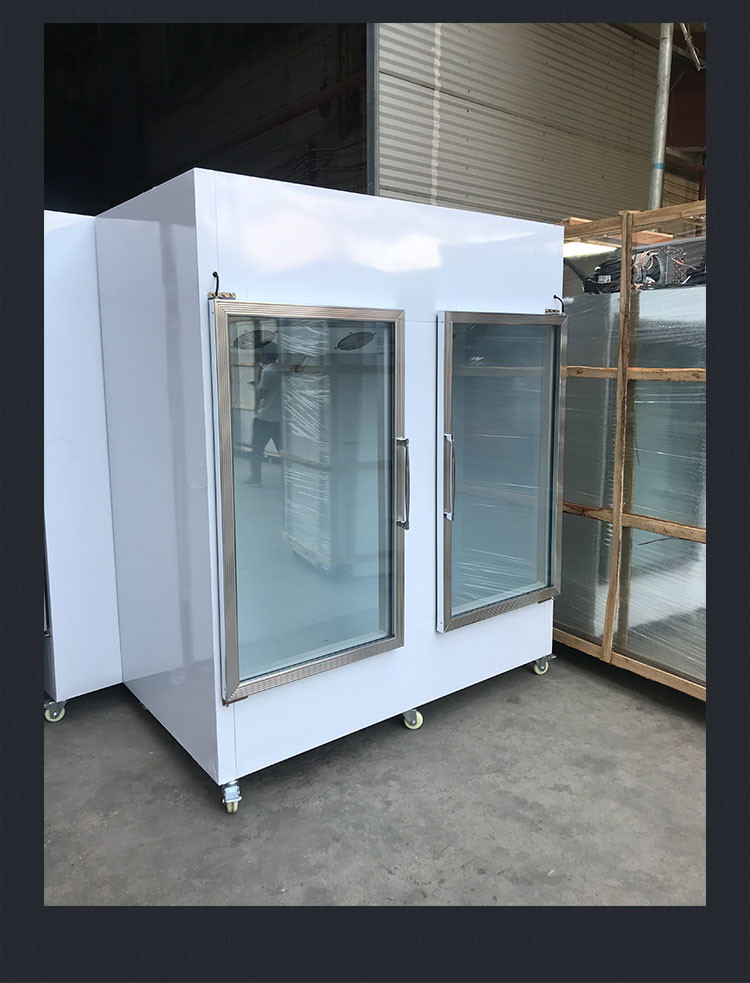 1841L R404a Bagged Ice Merchandiser With Heating Glass Door