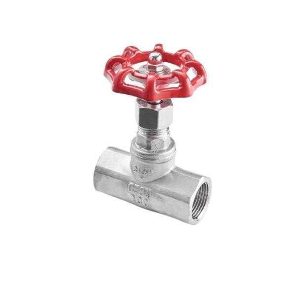 DN8-DN80 Stainless Steel Internal Thread Globe Valve with ISO 9001 Standardizati