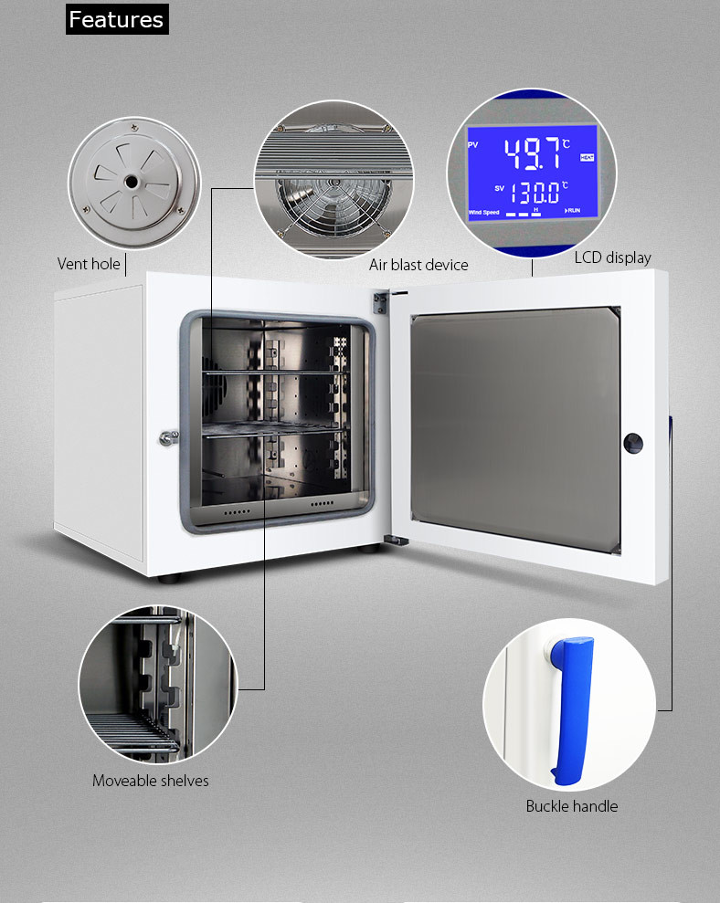 SUS304 Inner Lab Drying Oven Benchtop Constant Temperature Drying Oven