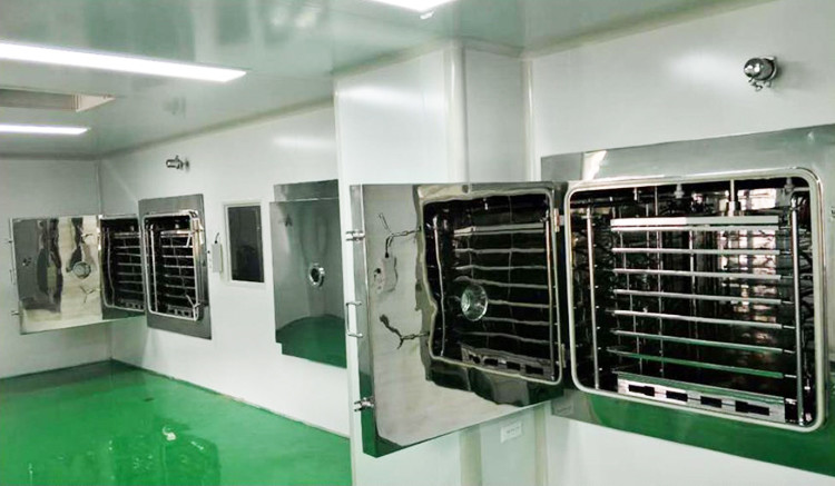 GZLY-5 5M2 Vacuum Freeze Drying Machine CIP SIP Freeze Dried Area