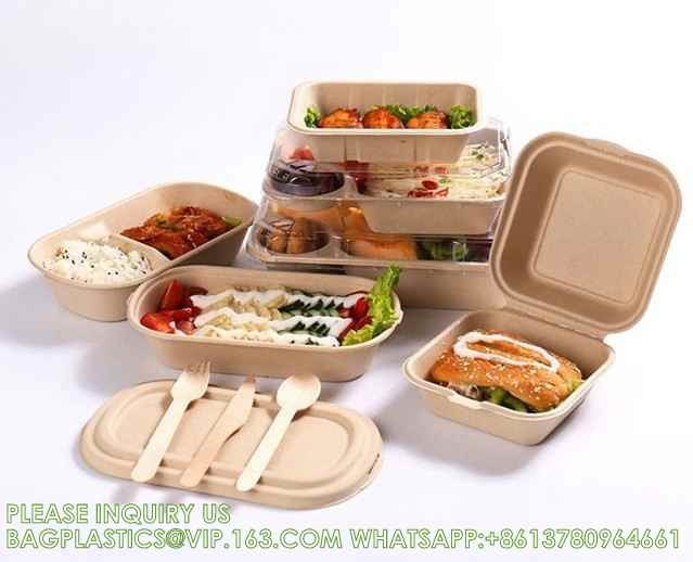 Wholesale Sugarcane Bagasse Pulp Lunch Box Takeaway Food Container Diaposiable Recyclable Sugarcane Packaging Box