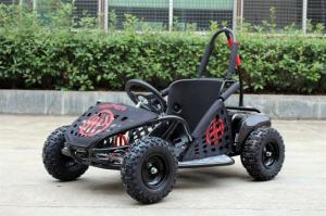 China 35km/H Two Person Go Kart Buggy , 1000w Kids Off Road Go Kart EPA Approved on sale