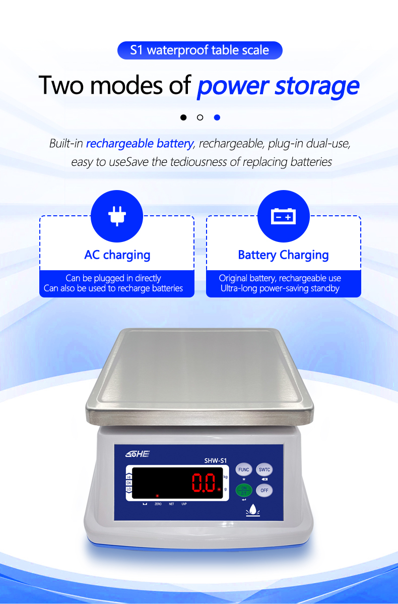 AC/DC Power Supply SOHE A1S Waterproof Scale IP68 3KG with Stainless Steel Design
