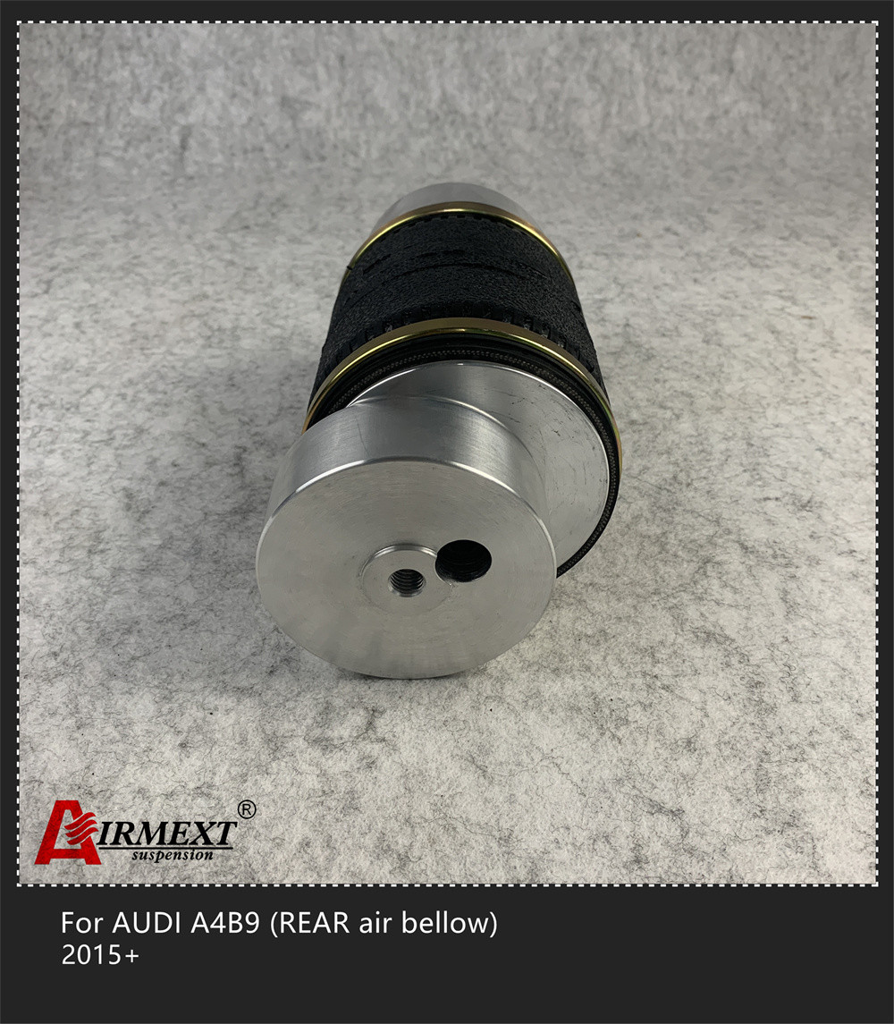 Air Strut Kit Audi Air Suspension For AUDI A4B9 2015 AS-AU04-05-A1