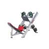 Buy cheap Hammer Strength Commercial Grade Gym Equipment 45° Life Fitness Leg Press from wholesalers