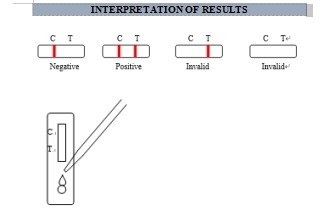 One Step Colloidal Gold Rapid Test For IgM Antibody To Human Parvovirus B19