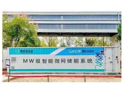 Customized 2mwh LiFePO4 40FT Container Storage Battery Systems for Island Micro