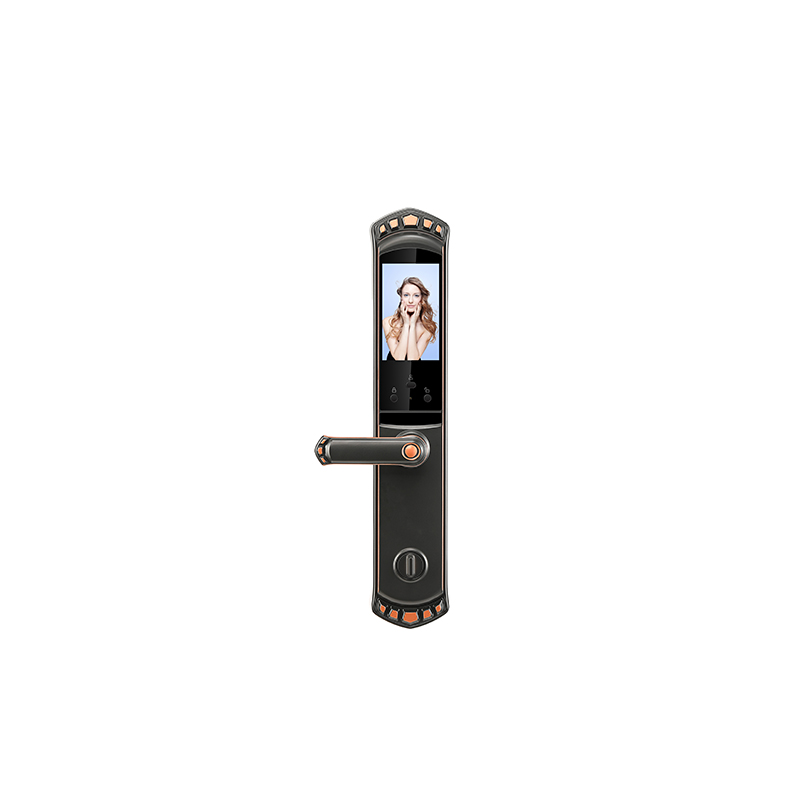 Red Bronze 3D Face Door Lock With Video Intercom Function With 6068 Mortise