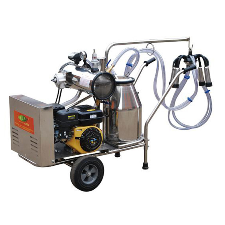 Big 110v 20 Stalls Herringbone Milk Parlor For Cow Milking
