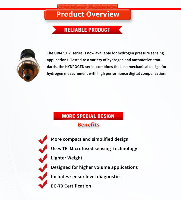 UBM71H2Y EC-79 TE Hydrogen Storage Pressure Sensor With 316L Wetted Materials