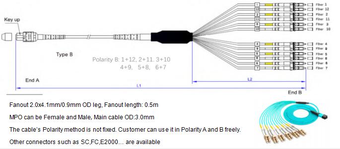 12 Fibers MPO to LC OM4 Fiber Optic MPO-LC 2.0mm Straight harness Cables