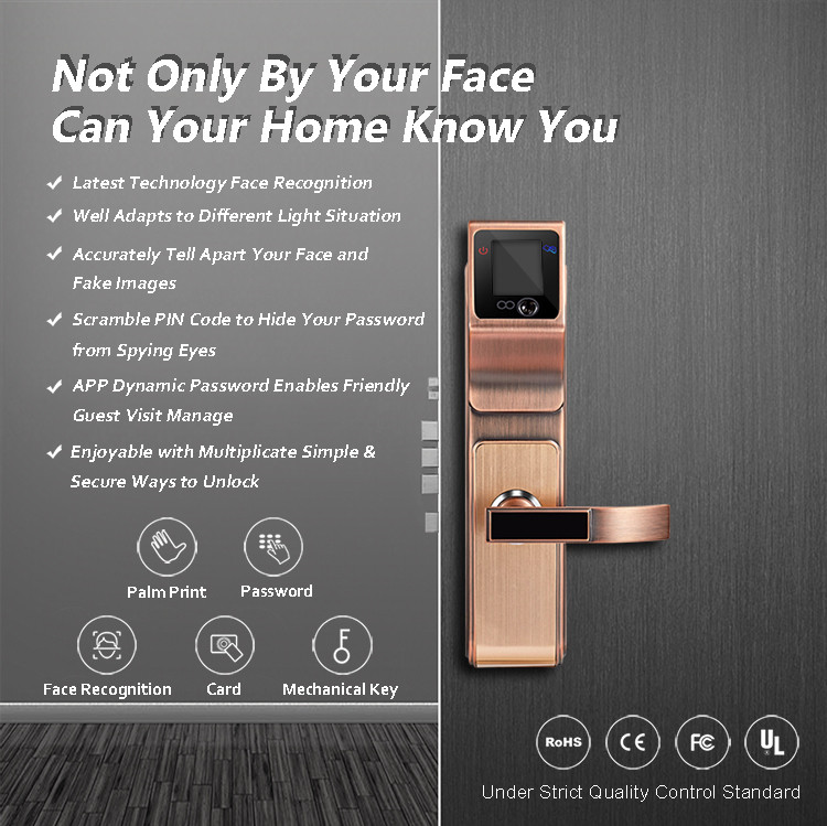 High Security Electronic Digital Door Lock , Smart Face Touch Screen Door Lock