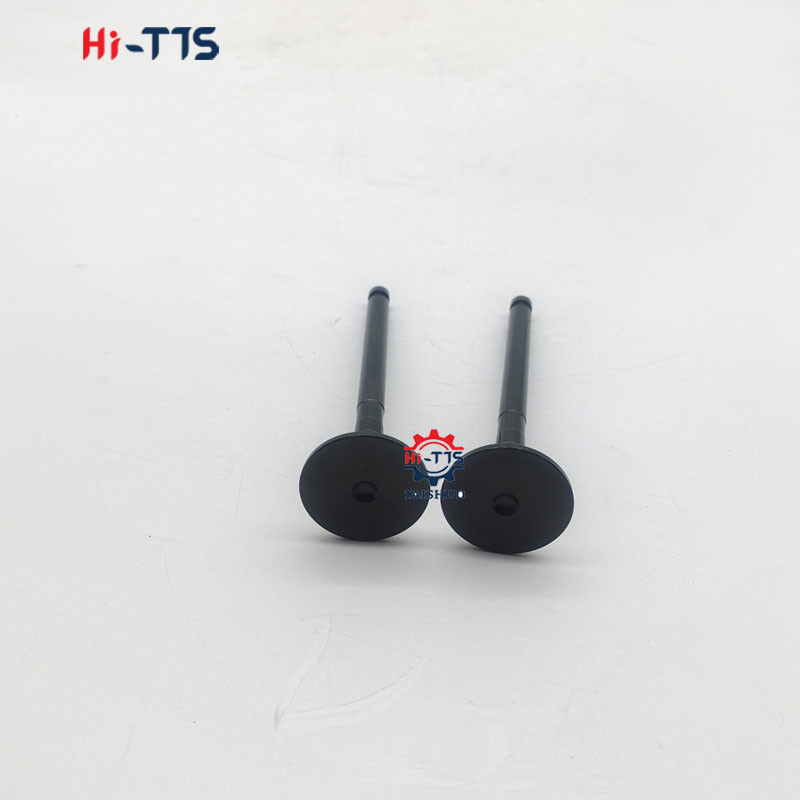 Diesel Engine Parts Exhaust Valve 129007-11110 for 4TNV92 Engine